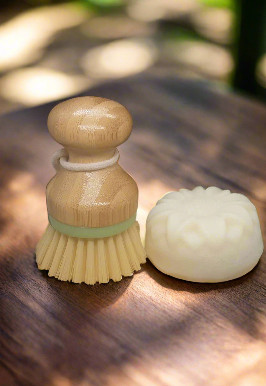 Solid Dish Soap Gift Set