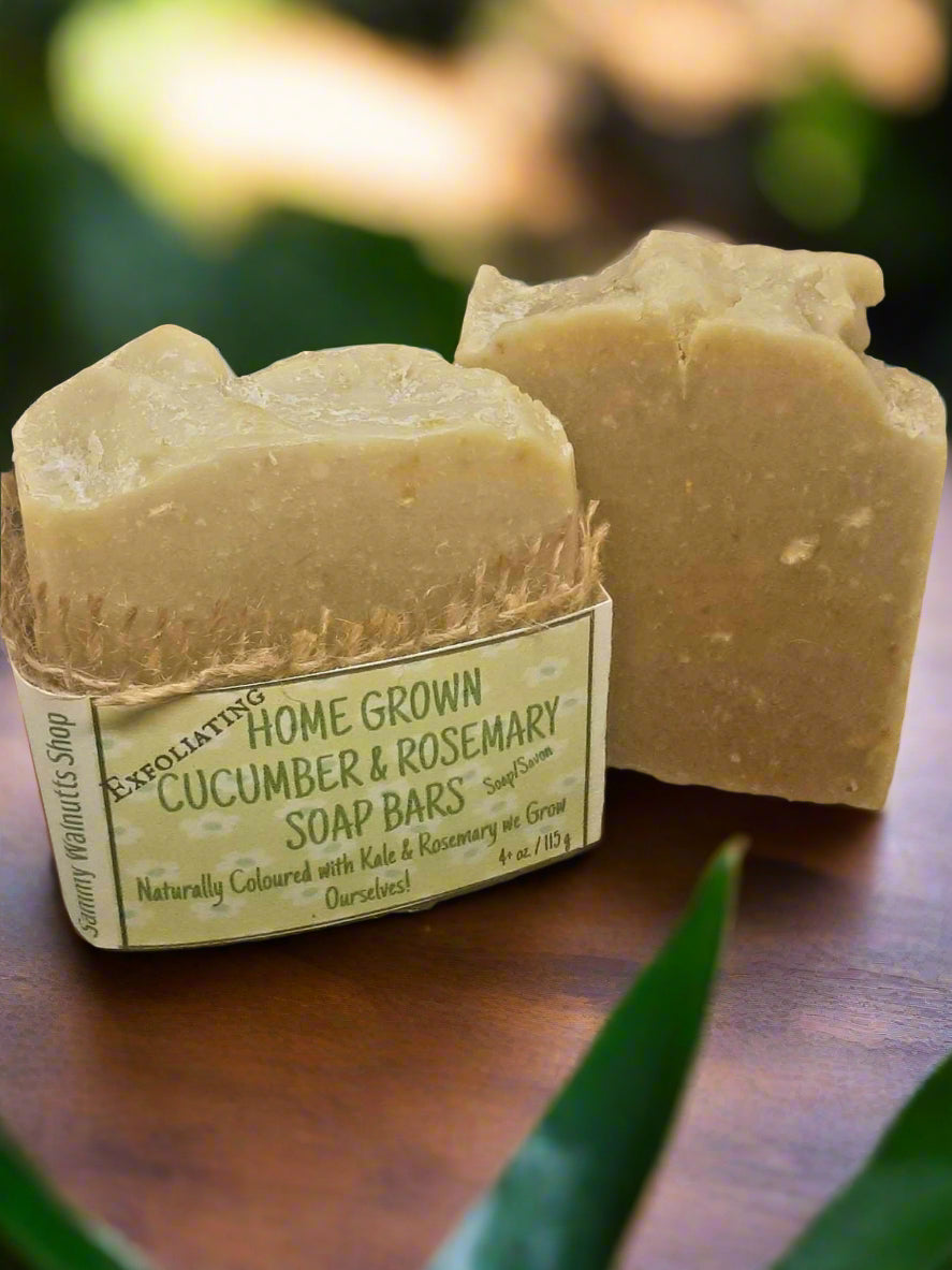 Homegrown Exfoliating Cucumber & Rosemary Soap Bars